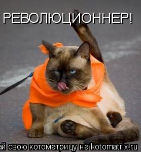 РЕВОЛЮЦИОННЕР!... Котоматрица: РЕВОЛЮЦИОННЕР!