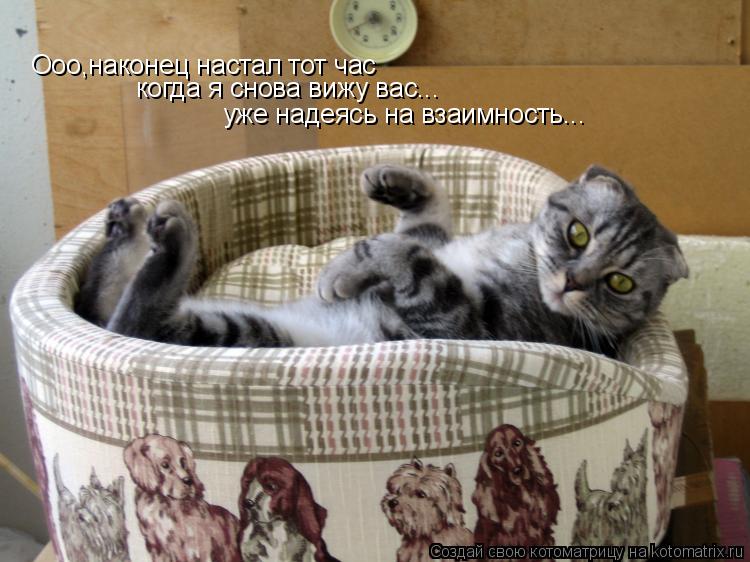 Ооо,наконец настал тот час когда я снова вижу вас... уже надеясь на взаимность...... Котоматрица: Ооо,наконец настал тот час когда я снова вижу вас... уже надеясь на взаимность...