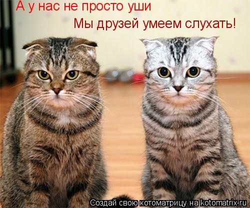 А у нас не просто уши Мы друзей умеем слухать!... Котоматрица: А у нас не просто уши Мы друзей умеем слухать!