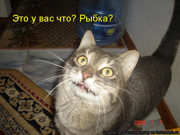 Это у вас что? Рыбка?... Котоматрица: Это у вас что? Рыбка?
