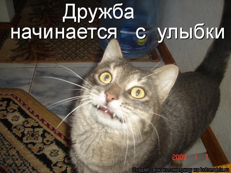 Дружба начинается с улыбки... Котоматрица: Дружба начинается с улыбки