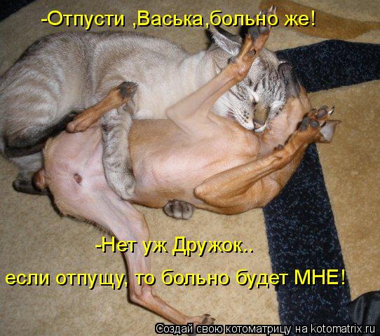 -Нет уж Дружок.. -Отпусти ,Васька,больно же! если отпущу, то больно будет МНЕ!... Котоматрица: -Нет уж Дружок.. -Отпусти ,Васька,больно же! если отпущу, то больно будет МНЕ!