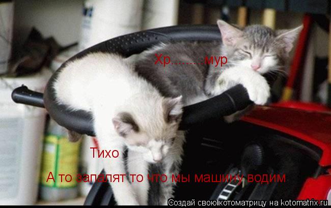 Котоматрица: Тихо  А то запалят то что мы машину водим Хр.........мур