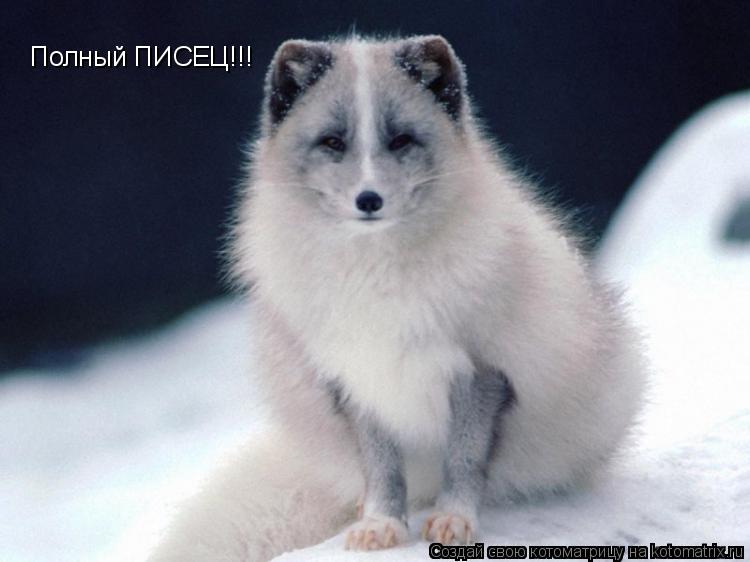 Полный ПИСЕЦ!!!... Котоматрица: Полный ПИСЕЦ!!!