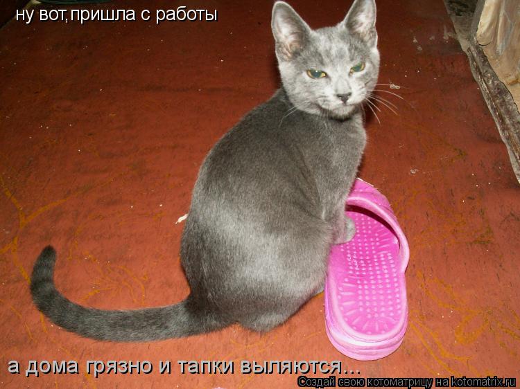 ну вот,пришла с работы а дома грязно и тапки выляются...... Котоматрица: ну вот,пришла с работы а дома грязно и тапки выляются...