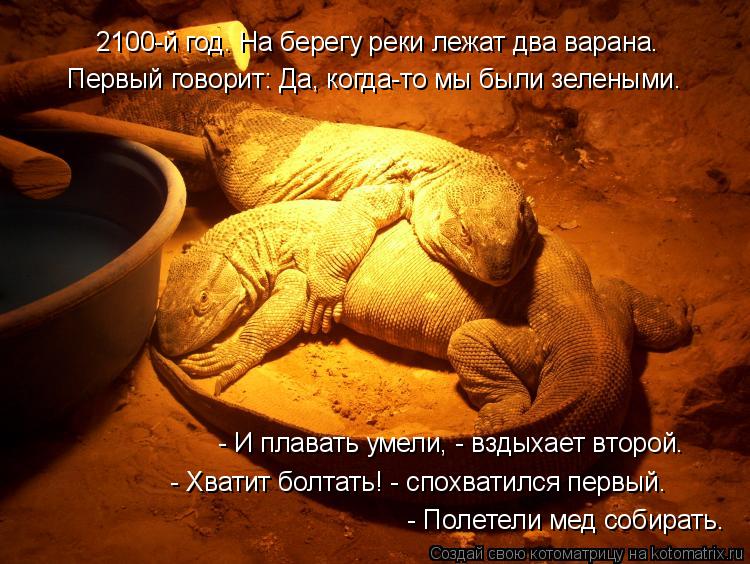 - И плавать умели, - вздыхает второй. - Хватит болтать! - спохватился первый. - Полетели мед собират... Котоматрица: - И плавать умели, - вздыхает второй. - Хватит болтать! - спохватился первый. - Полетели мед собирать. Первый говорит: Да, когда-то мы были зелен