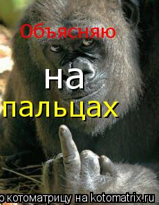 Объясняю на пальцах... Котоматрица: Объясняю на пальцах