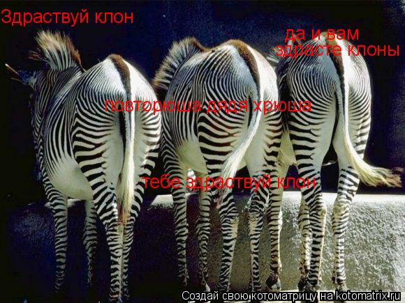 Здраствуй клон тебе здраствуй клон да и вам здрасте клоны повторюша дядя хрюша... Котоматрица: Здраствуй клон тебе здраствуй клон да и вам здрасте клоны повторюша дядя хрюша