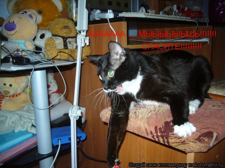 ААААААА......МЫЫЫЫЫЫШЬ!!!!!!! СПАСИТЕ!!!!!!!!!... Котоматрица: ААААААА......МЫЫЫЫЫЫШЬ!!!!!!! СПАСИТЕ!!!!!!!!!