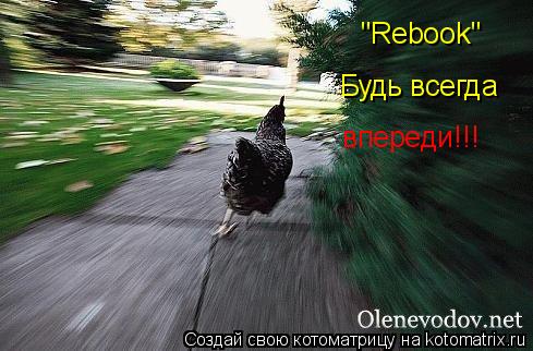 поступила на рынок новинка "Rebook" Будь всегда впереди!!!... Котоматрица: поступила на рынок новинка "Rebook" Будь всегда впереди!!!