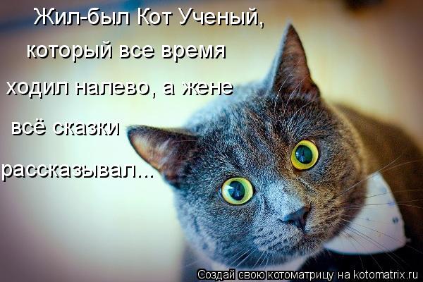 Жил-был Кот Ученый, который все время ходил налево, а жене всё сказки рассказывал...... Котоматрица: Жил-был Кот Ученый, который все время ходил налево, а жене всё сказки рассказывал...