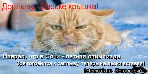 Доплыву - Ваське крышка! Наврал, что в Сочи - летняя олимпиада. Зря готовился к заплыву, теперь на лы... Котоматрица: Доплыву - Ваське крышка! Наврал, что в Сочи - летняя олимпиада. Зря готовился к заплыву, теперь на лыжи вставай!
