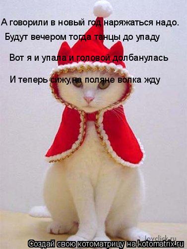 А говорили в новый год наряжаться надо. Будут вечером тогда танцы до упаду Вот я и упала и головой до... Котоматрица: А говорили в новый год наряжаться надо. Будут вечером тогда танцы до упаду Вот я и упала и головой долбанулась И теперь сижу,на поляне волка