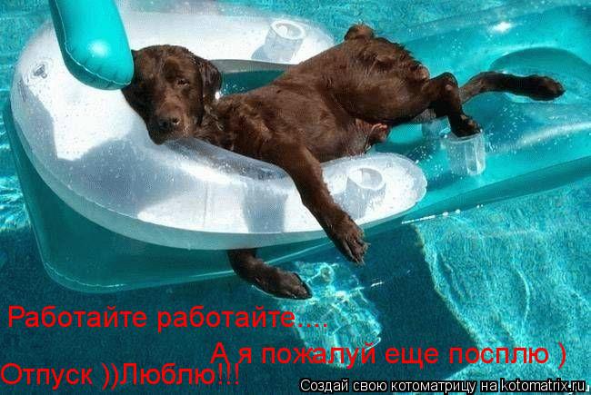 Работайте работайте.... А я пожалуй еще посплю ) Отпуск ))Люблю!!!... Котоматрица: Работайте работайте.... А я пожалуй еще посплю ) Отпуск ))Люблю!!!