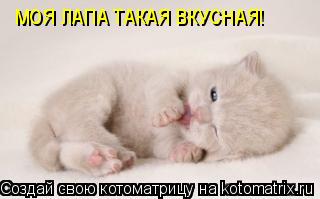 МОЯ ЛАПА ТАКАЯ ВКУСНАЯ!... Котоматрица: МОЯ ЛАПА ТАКАЯ ВКУСНАЯ!