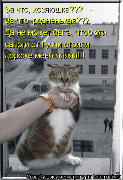 За что, хозяюшка??? За что, родненькая??? Да не может быть, чтоб эти сапоги от Гуччи стоили дороже ме... Котоматрица: За что, хозяюшка??? За что, родненькая??? Да не может быть, чтоб эти сапоги от Гуччи стоили дороже меня-яяяяя!!!