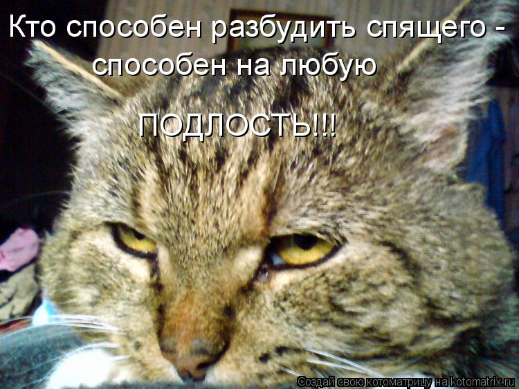 Кто способен разбудить спящего - способен на любую ПОДЛОСТЬ!!!... Котоматрица: Кто способен разбудить спящего - способен на любую ПОДЛОСТЬ!!!