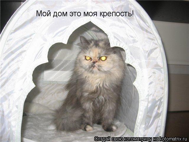 Мой дом это моя крепость!... Котоматрица: Мой дом это моя крепость!
