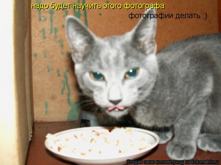 надо будет научить этого фотографа фотографии делать :)... Котоматрица: надо будет научить этого фотографа фотографии делать :)