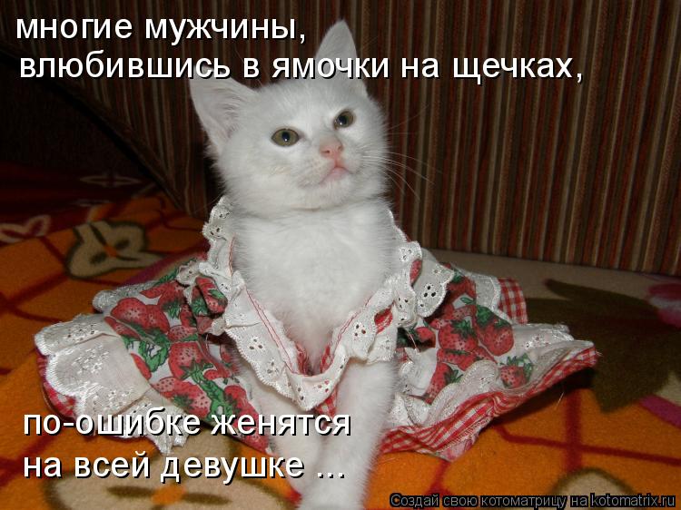 многие мужчины, влюбившись в ямочки на щечках, по-ошибке женятся на всей девушке ...... Котоматрица: многие мужчины, влюбившись в ямочки на щечках, по-ошибке женятся на всей девушке ...