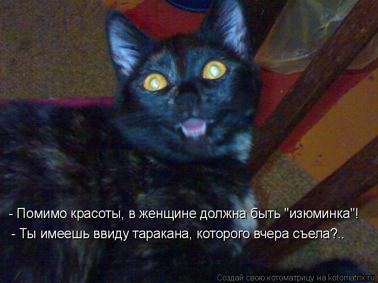 - Помимо красоты, в женщине должна быть "изюминка"! - Ты имеешь ввиду таракана, которого вчера съела?... Котоматрица: - Помимо красоты, в женщине должна быть "изюминка"! - Ты имеешь ввиду таракана, которого вчера съела?..