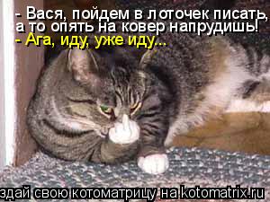 - Вася, пойдем в лоточек писать, а то опять на ковер напрудишь! - Ага, иду, уже иду...... Котоматрица: - Вася, пойдем в лоточек писать, а то опять на ковер напрудишь! - Ага, иду, уже иду...