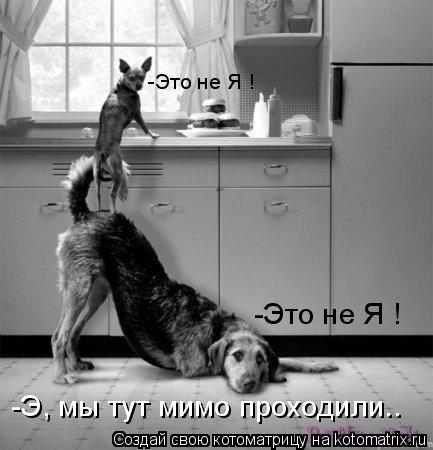 -Это не Я ! -Это не Я ! -Э, мы тут мимо проходили..... Котоматрица: -Это не Я ! -Это не Я ! -Э, мы тут мимо проходили..