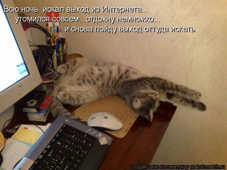 Всю ночь искал выход из Интернета... утомился совсем...отдохну немножко... и снова пойду выход оттуд... Котоматрица: Всю ночь искал выход из Интернета... утомился совсем...отдохну немножко... и снова пойду выход оттуда искать