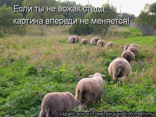 Если ты не вожак стада, картина впереди не меняется!... Котоматрица: Если ты не вожак стада, картина впереди не меняется!