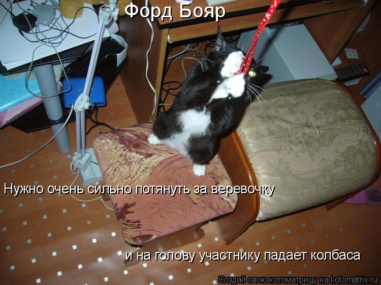 Форд Бояр Нужно очень сильно потянуть за веревочку и на голову участнику падает колбаса... Котоматрица: Форд Бояр Нужно очень сильно потянуть за веревочку и на голову участнику падает колбаса