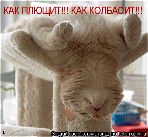 КАК ПЛЮЩИТ!!! КАК КОЛБАСИТ!!!... Котоматрица: КАК ПЛЮЩИТ!!! КАК КОЛБАСИТ!!!