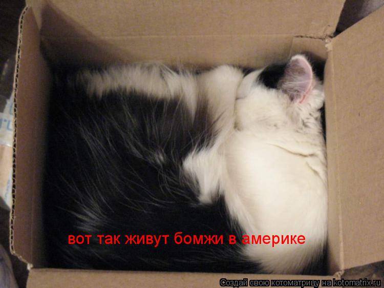 вот так живут бомжи в америке... Котоматрица: вот так живут бомжи в америке
