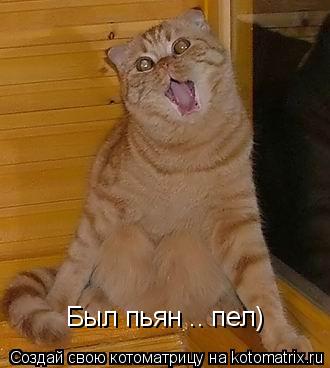Был пьян .. пел)... Котоматрица: Был пьян .. пел)