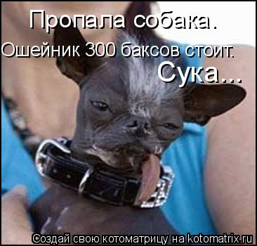Пропала собака. Ошейник 300 баксов стоит. Сука...... Котоматрица: Пропала собака. Ошейник 300 баксов стоит. Сука...
