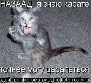 НАЗААД я знаю карате точнее могу царапаться... Котоматрица: НАЗААД я знаю карате точнее могу царапаться