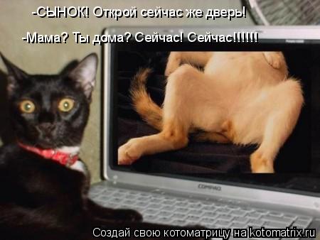 Котоматрица: -СЫНОК! Открой сейчас же дверь! -Мама? Ты дома? Сейчас! Сейчас!!!!!!