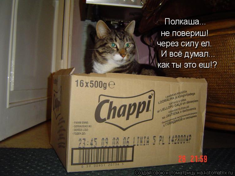 не повериш! через силу ел. Полкаша... И всё думал... как ты это еш!?... Котоматрица: не повериш! через силу ел. Полкаша... И всё думал... как ты это еш!?
