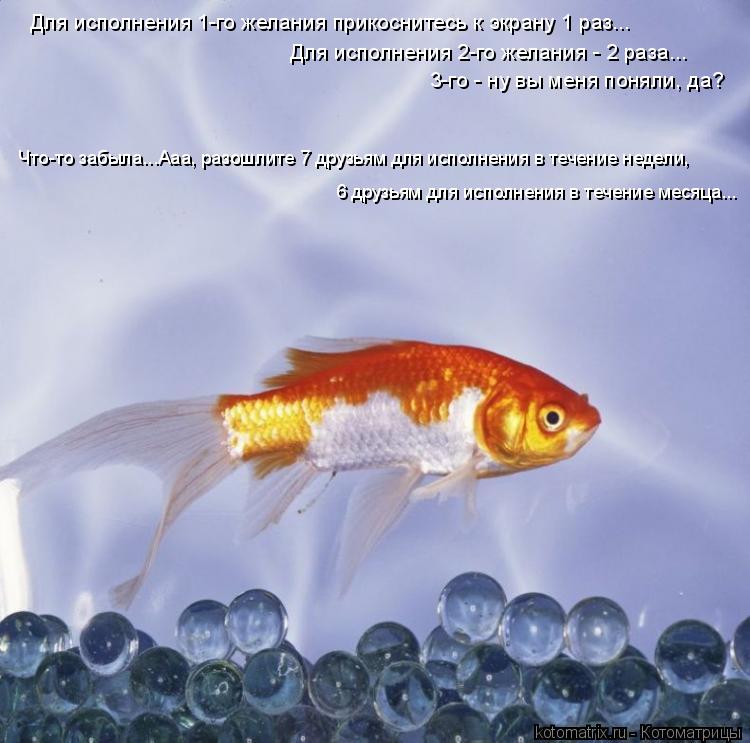 Для исполнения 1-го желания прикоснитесь к экрану 1 раз... Для исполнения 2-го желания - 2 раза... 3-... Котоматрица: Для исполнения 1-го желания прикоснитесь к экрану 1 раз... Для исполнения 2-го желания - 2 раза... 3-го - ну вы меня поняли, да? Что-то забыла...Ааа,