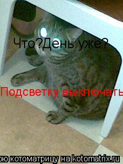 Что?День уже? Подсветку выключать?... Котоматрица: Что?День уже? Подсветку выключать?