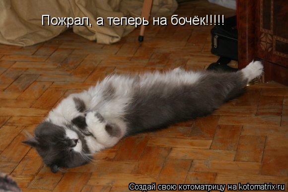 Пожрал, а теперь на бочёк!!!!!... Котоматрица: Пожрал, а теперь на бочёк!!!!!