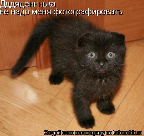 Дддяденннька не надо меня фотографировать... Котоматрица: Дддяденннька не надо меня фотографировать