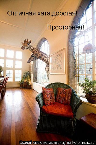 Отличная хата,дорогая! Просторная!... Котоматрица: Отличная хата,дорогая! Просторная!