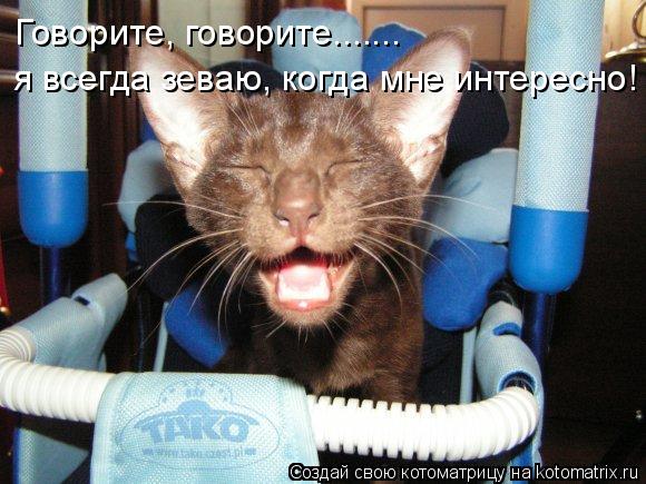 Говорите, говорите....... я всегда зеваю, когда мне интересно!... Котоматрица: Говорите, говорите....... я всегда зеваю, когда мне интересно!