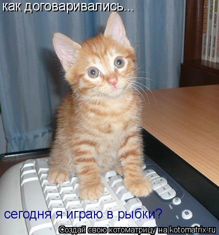 как договаривались... сегодня я играю в рыбки?... Котоматрица: как договаривались... сегодня я играю в рыбки?