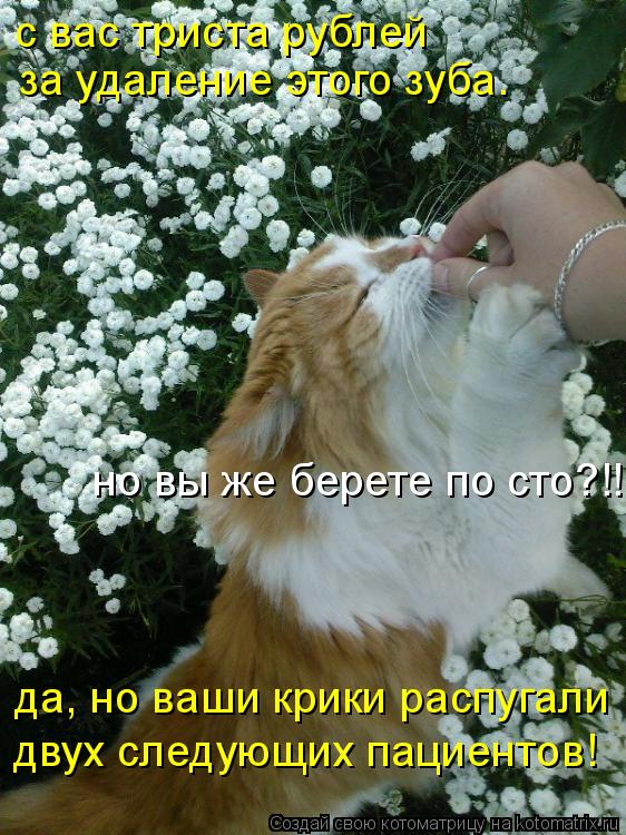 да, но ваши крики распугали двух следующих пациентов! с вас триста рублей за удаление этого зуба. но ... Котоматрица: да, но ваши крики распугали двух следующих пациентов! с вас триста рублей за удаление этого зуба. но вы же берете по сто?!!
