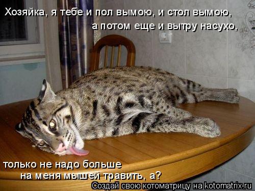 Хозяйка, я тебе и пол вымою, и стол вымою, только не надо больше на меня мышей травить, а? а потом ещ... Котоматрица: Хозяйка, я тебе и пол вымою, и стол вымою, только не надо больше на меня мышей травить, а? а потом еще и вытру насухо,