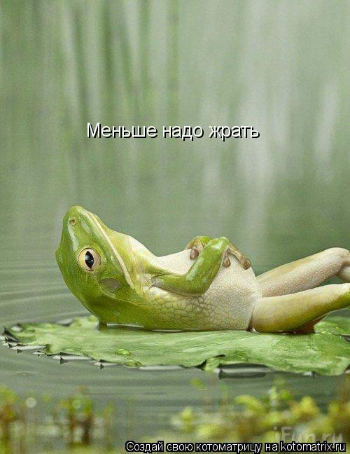 Меньше надо жрать... Котоматрица: Меньше надо жрать
