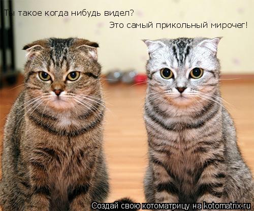Ты такое когда нибудь видел? Это самый прикольный мирочег!... Котоматрица: Ты такое когда нибудь видел? Это самый прикольный мирочег!