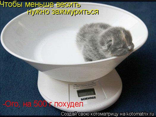 Чтобы меньше весить нужно зажмуриться -Ого, на 500 г похудел... Котоматрица: Чтобы меньше весить нужно зажмуриться -Ого, на 500 г похудел