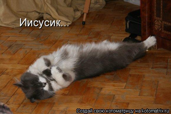 Котоматрица: Иисусик...